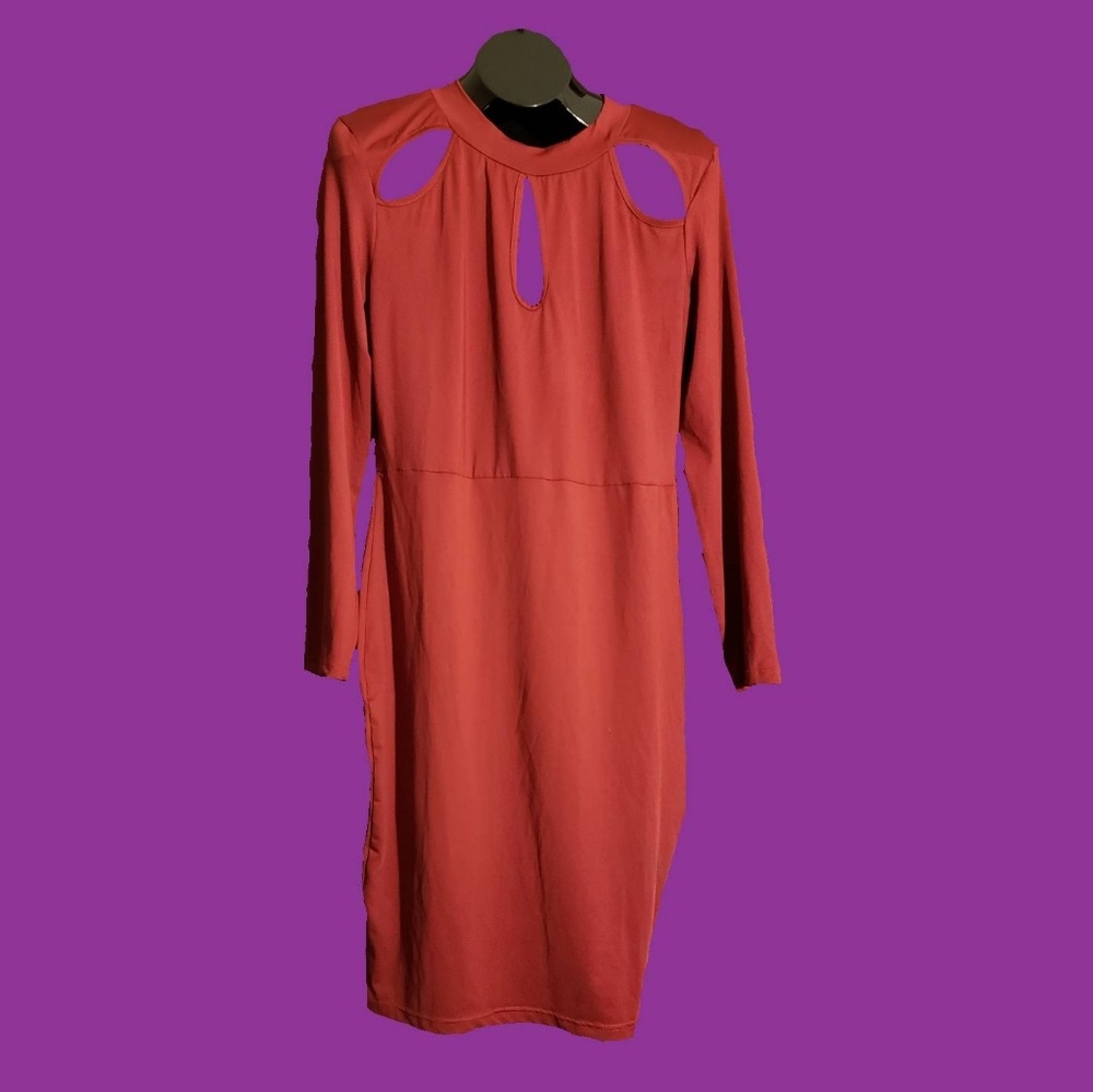 Biubiu Maroon Dress Size XL NWT